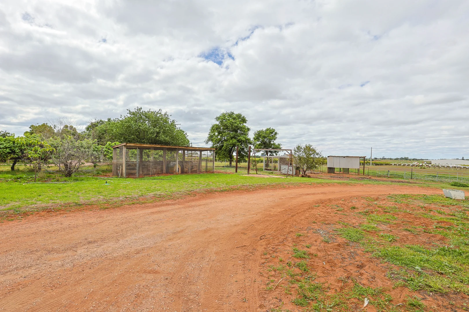 Additional image 24 of 254 Seventh Street, Merbein South VIC 3505