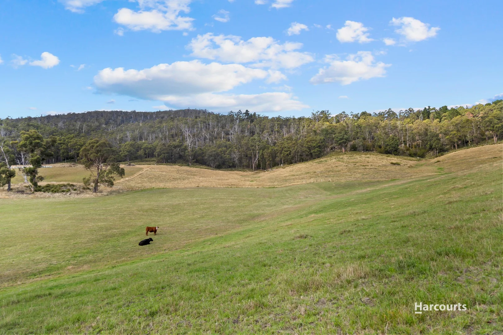 Additional image 14 of 48 Quarry Road, Glen Huon TAS 7109