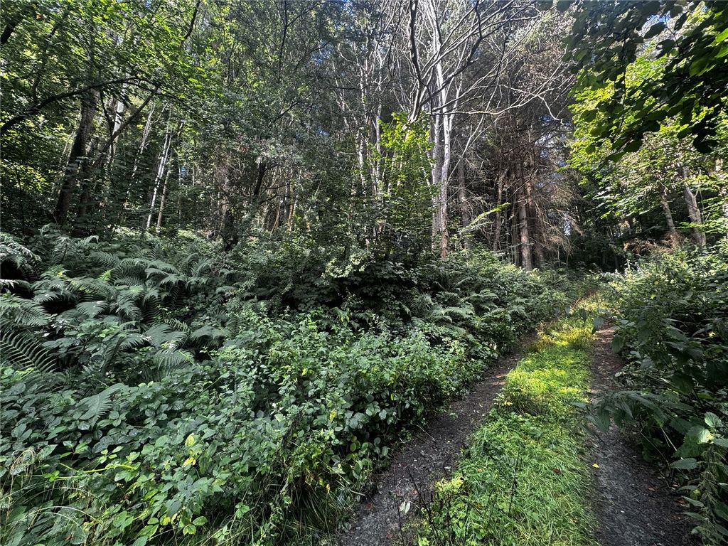 Additional image 17 of Land for saleBerriew, Welshpool, Powys SY21
