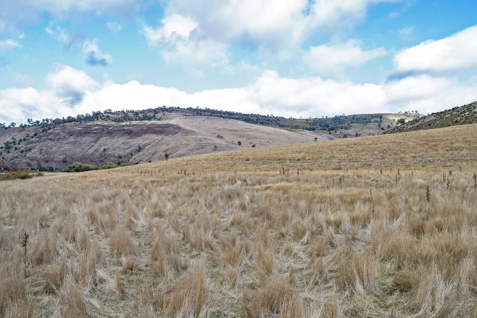 Additional image 18 of . McGuires Marsh Road, Osterley TAS 7140