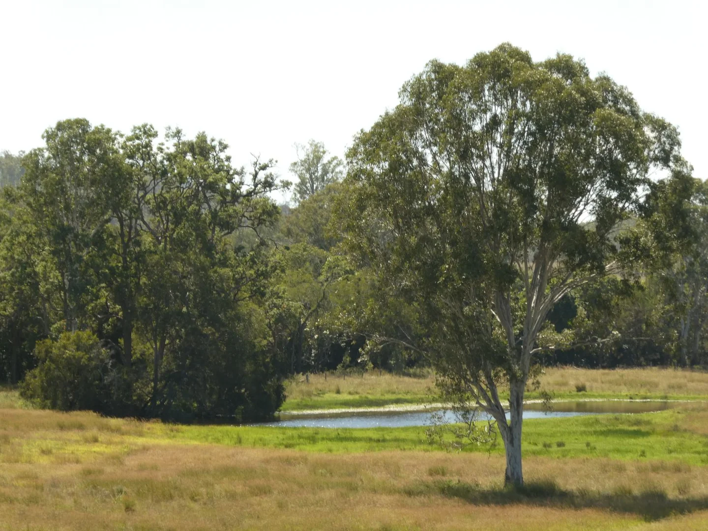 Additional image 13 of Lot 31 Brooweena Woolooga Road, Teebar QLD 4620