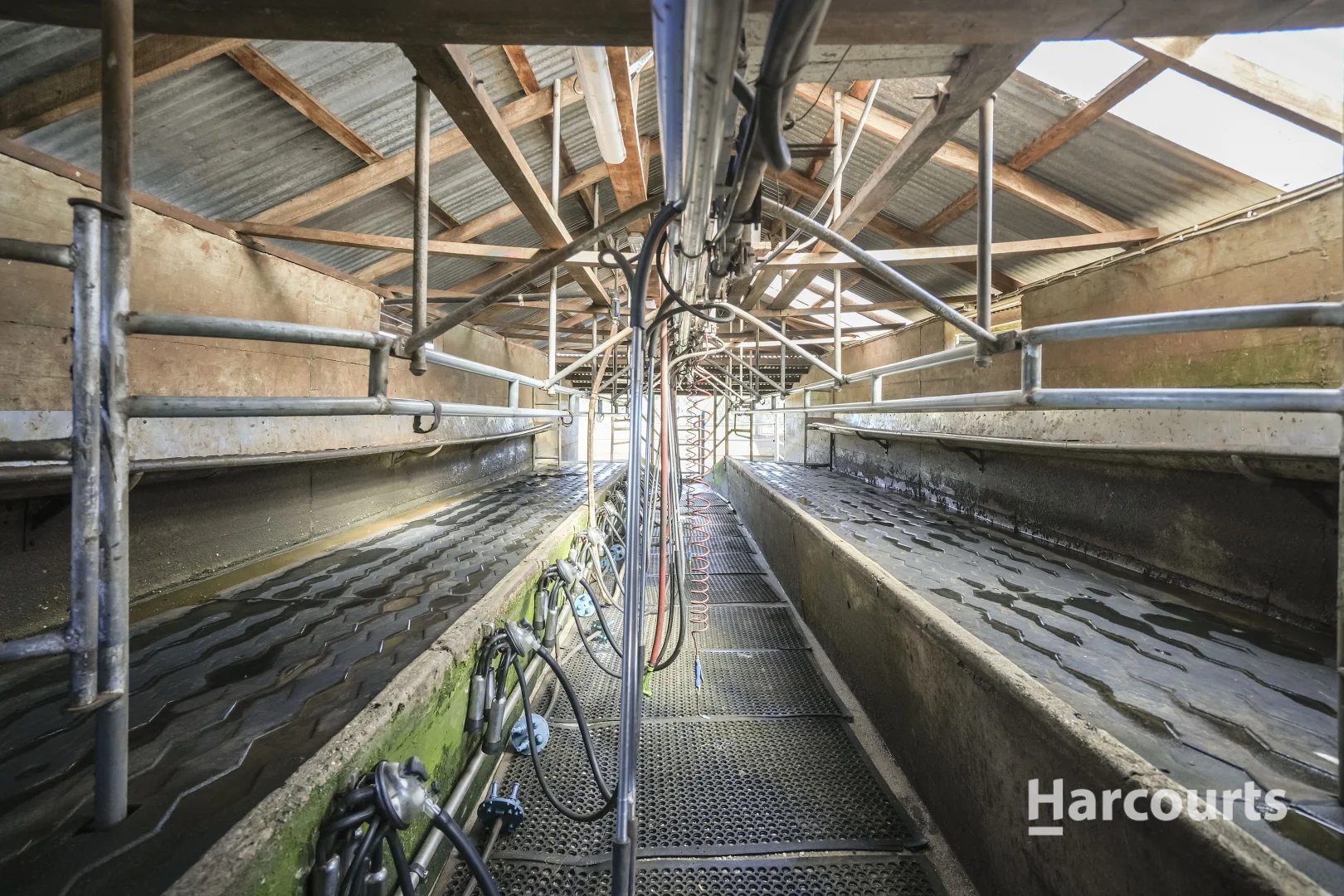 Additional image 5 of 214 Mathinna Plains Road, Ringarooma TAS 7263