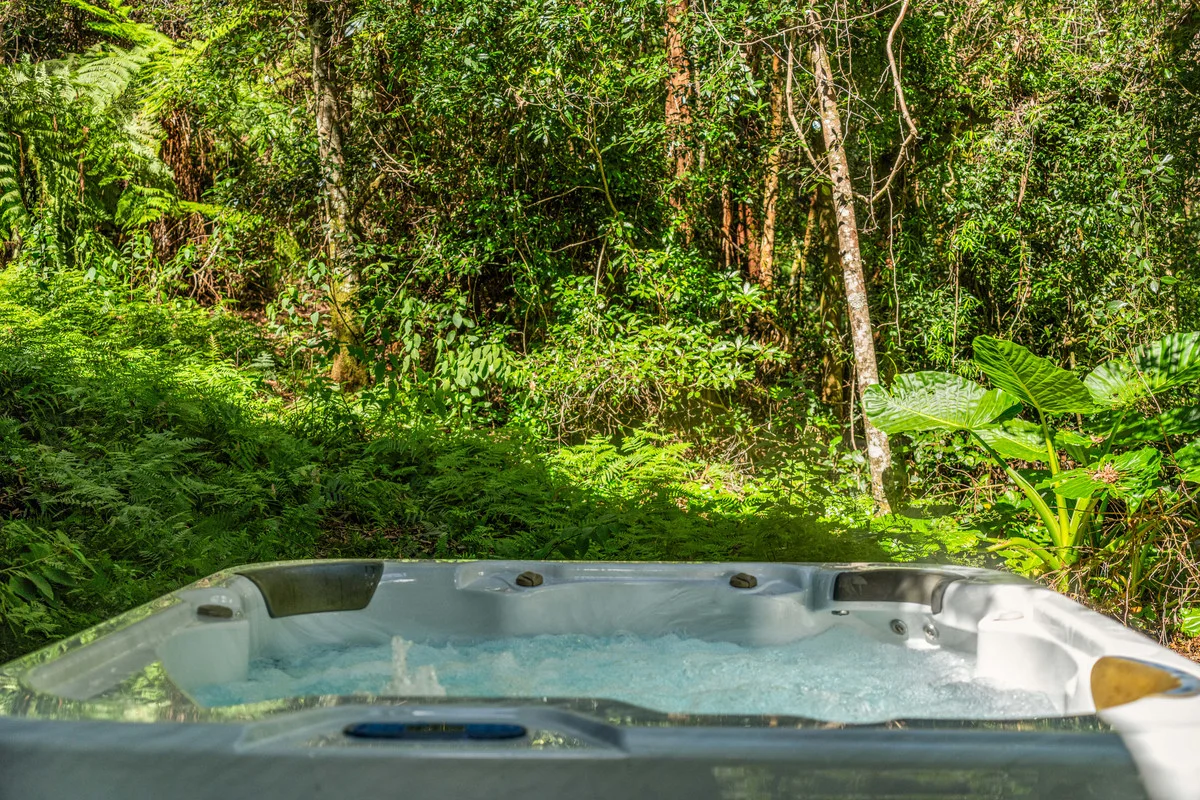 Additional image 9 of 8 Banksia Road, Springbrook QLD 4213