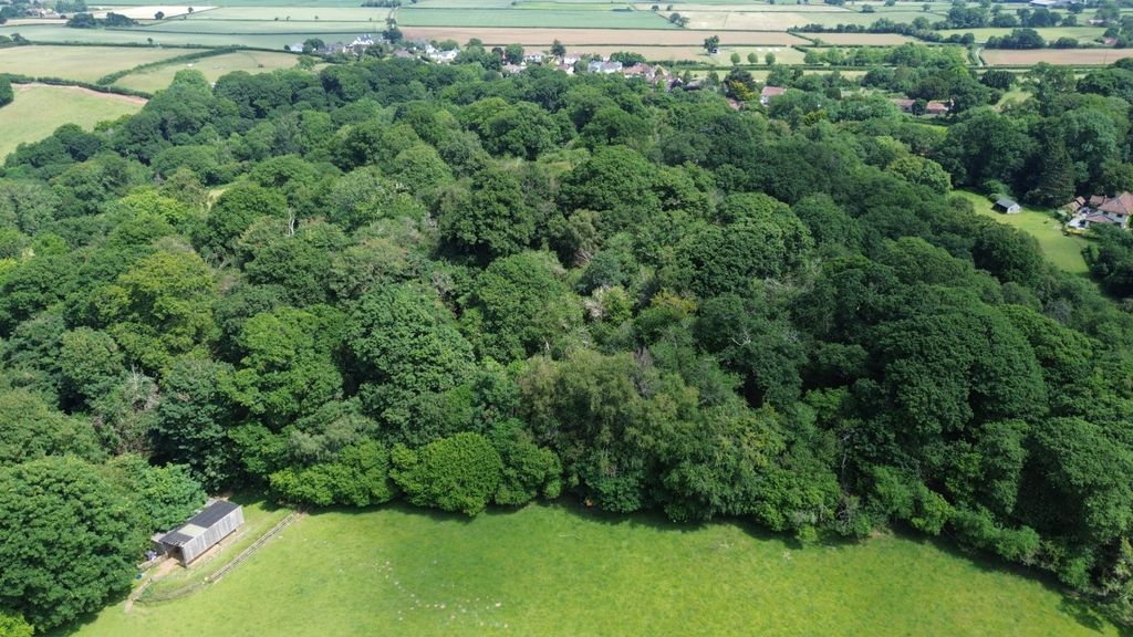 Additional image 12 of Land for saleHolford, Bridgwater, Somerset TA5
