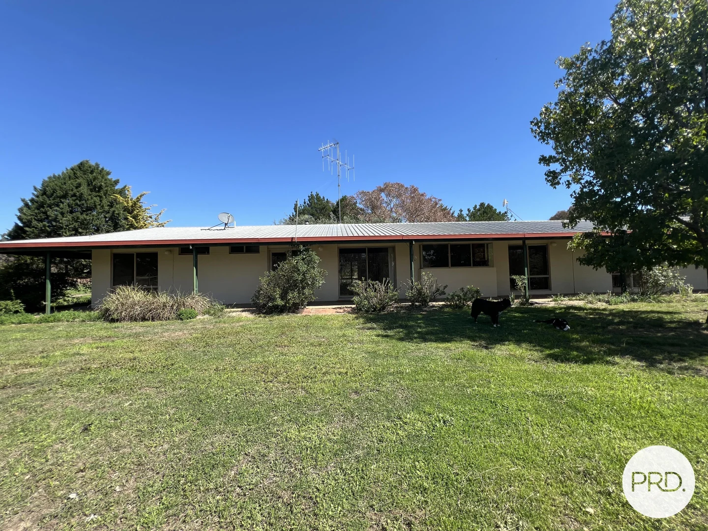 Additional image 28 of 523 Nanima Road, Springrange NSW 2618