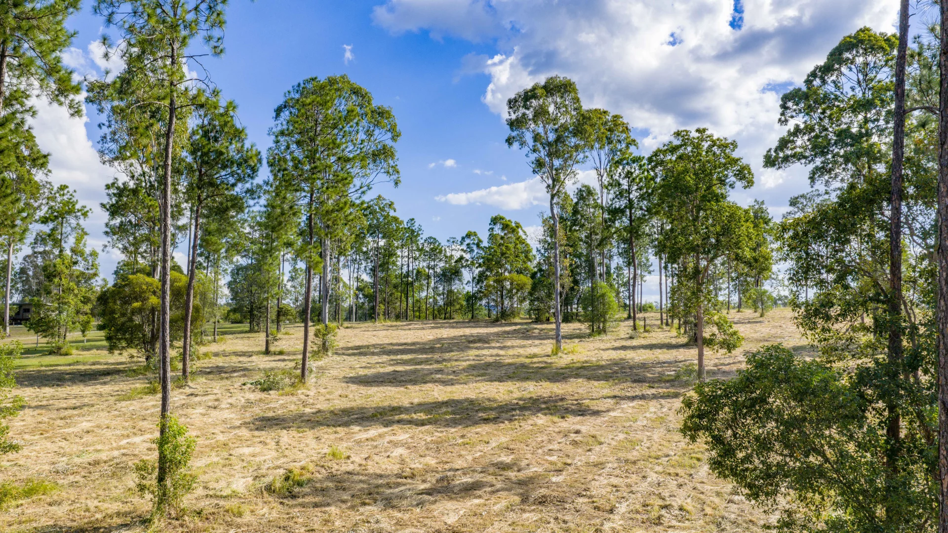 Additional image 5 of Lot 205 & 206 Arborfive Road, Glenwood QLD 4570