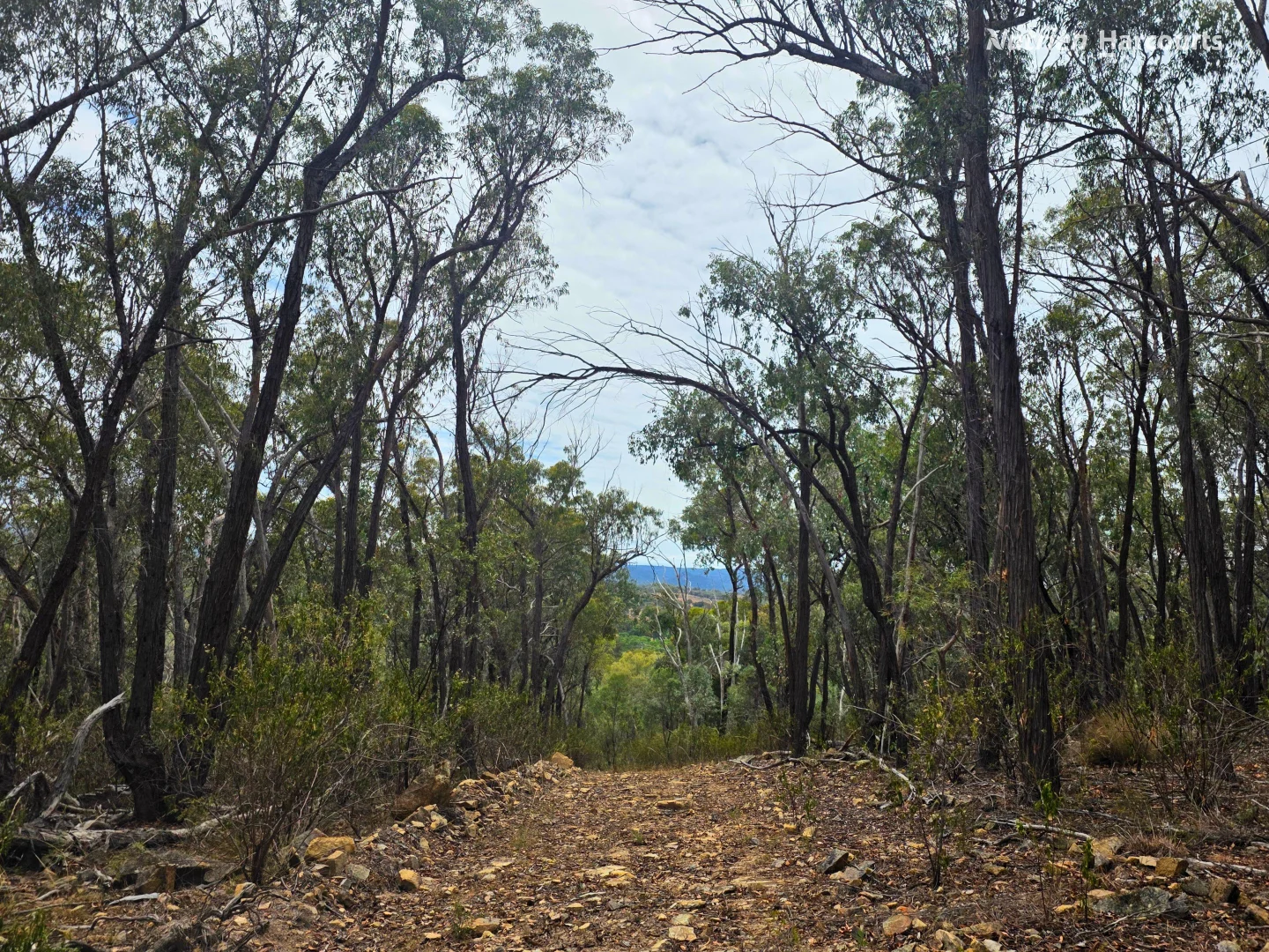 Additional image 12 of 296 Gulf Road, Emmaville NSW 2371