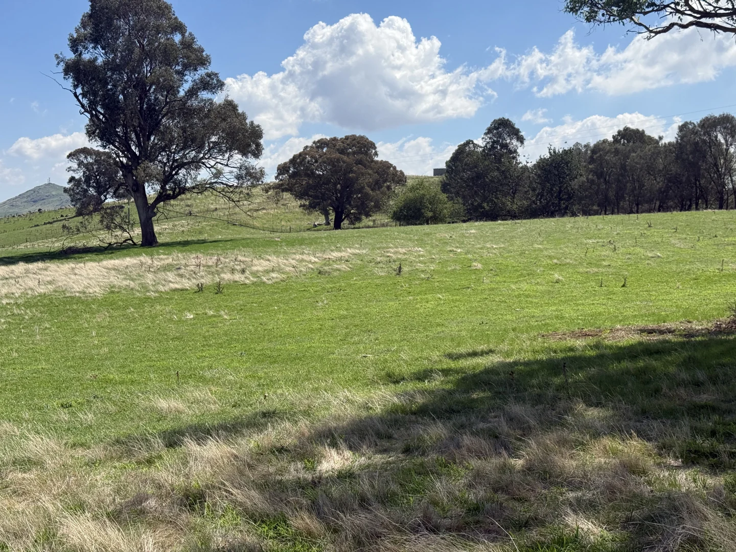 Additional image 7 of Camerons Hill Lot 17 Reynolds Lane, Binalong NSW 2584