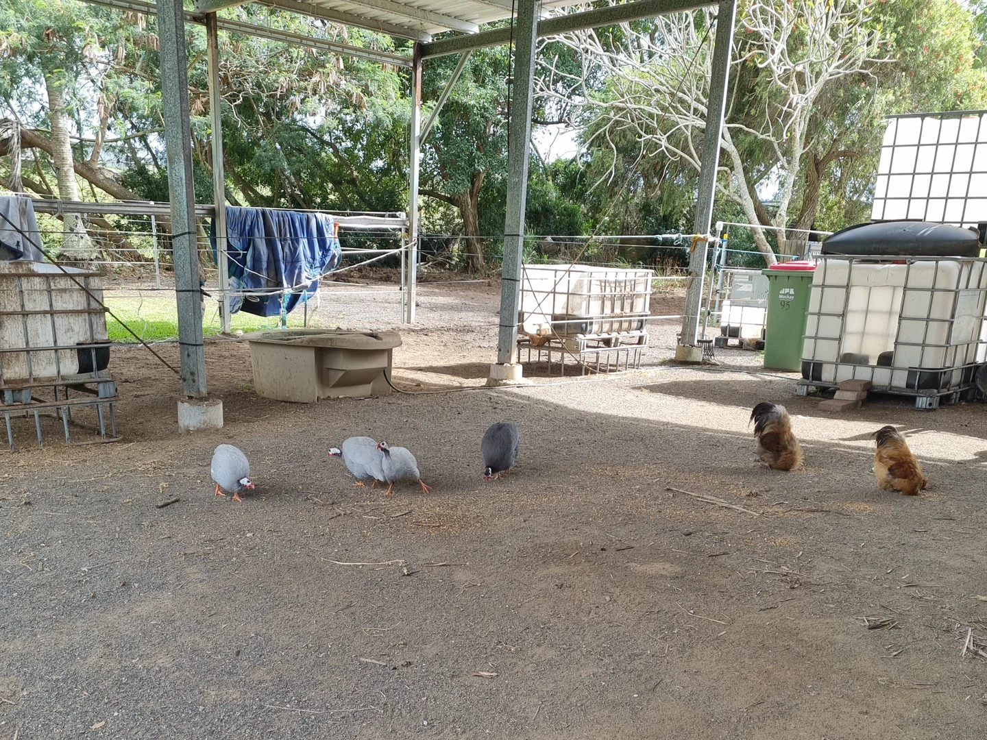 Additional image 22 of Alligator Creek QLD 4740