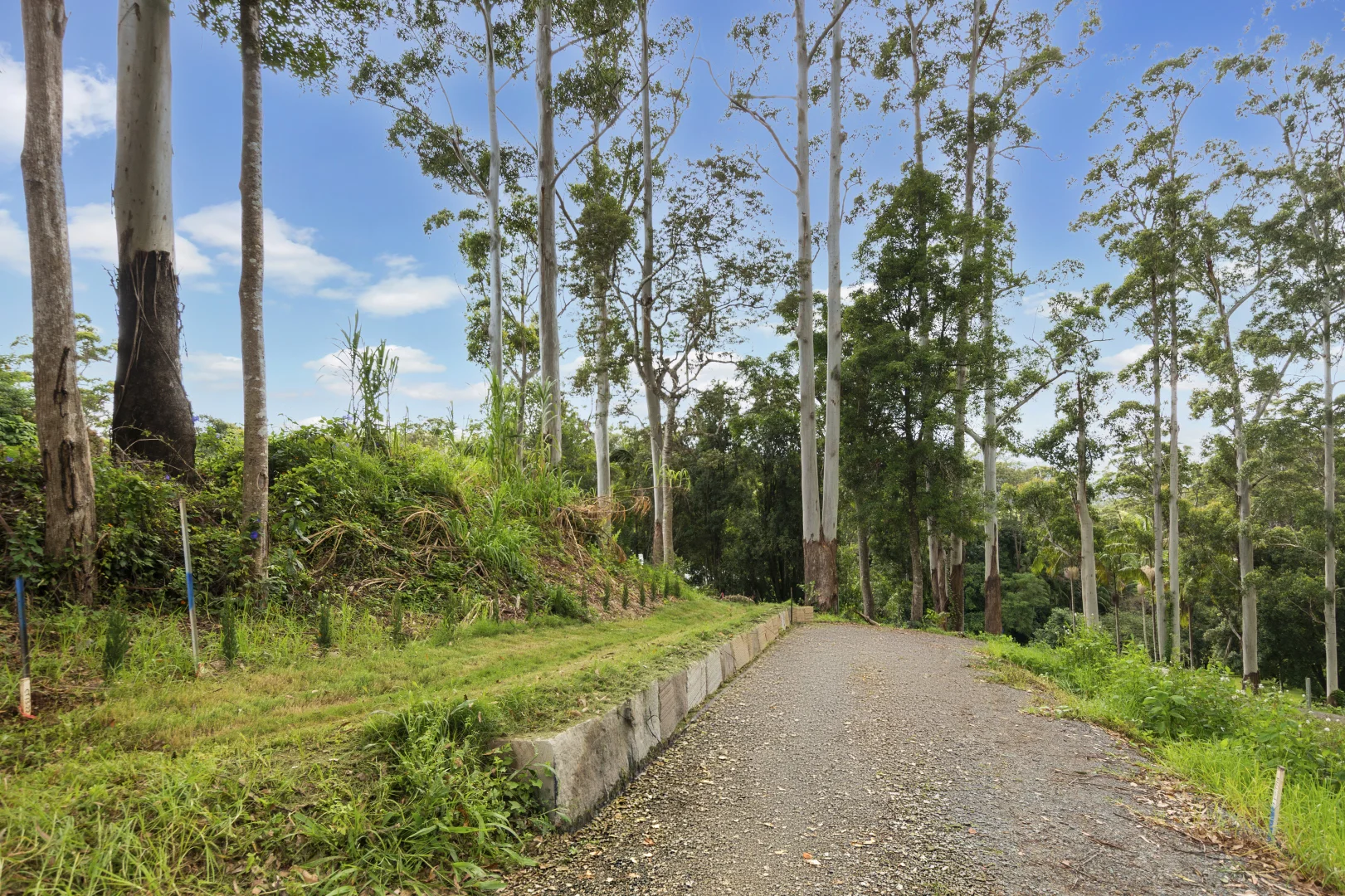 Additional image 4 of 78 Long Road, Tamborine Mountain QLD 4272
