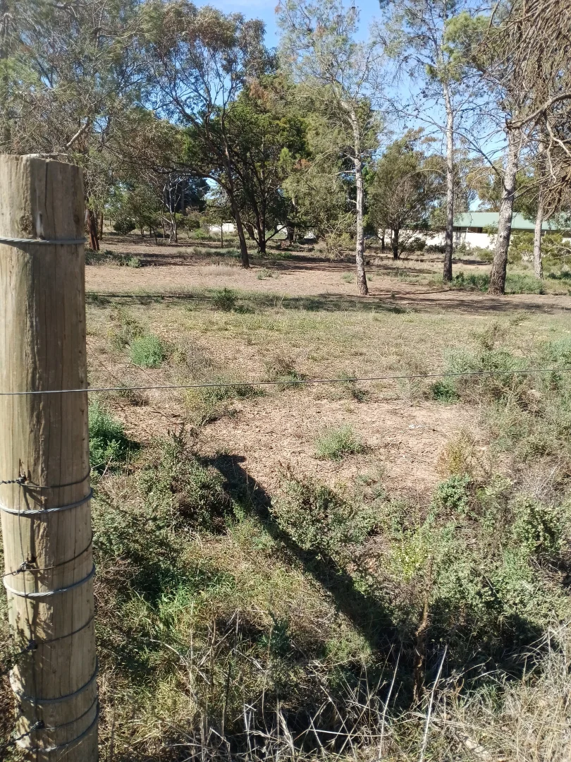 Additional image 4 of Elizabeth Street, Pinery SA 5460
