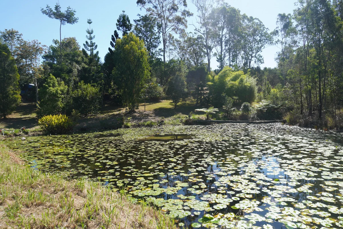 Additional image 5 of 619 Bulldog Road, Bulldog NSW 2469
