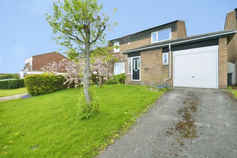 Park Avenue, Sheffield, South Yorkshire S35