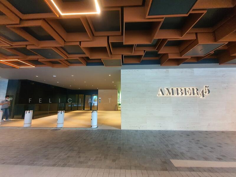 45 Amber Road photo 2