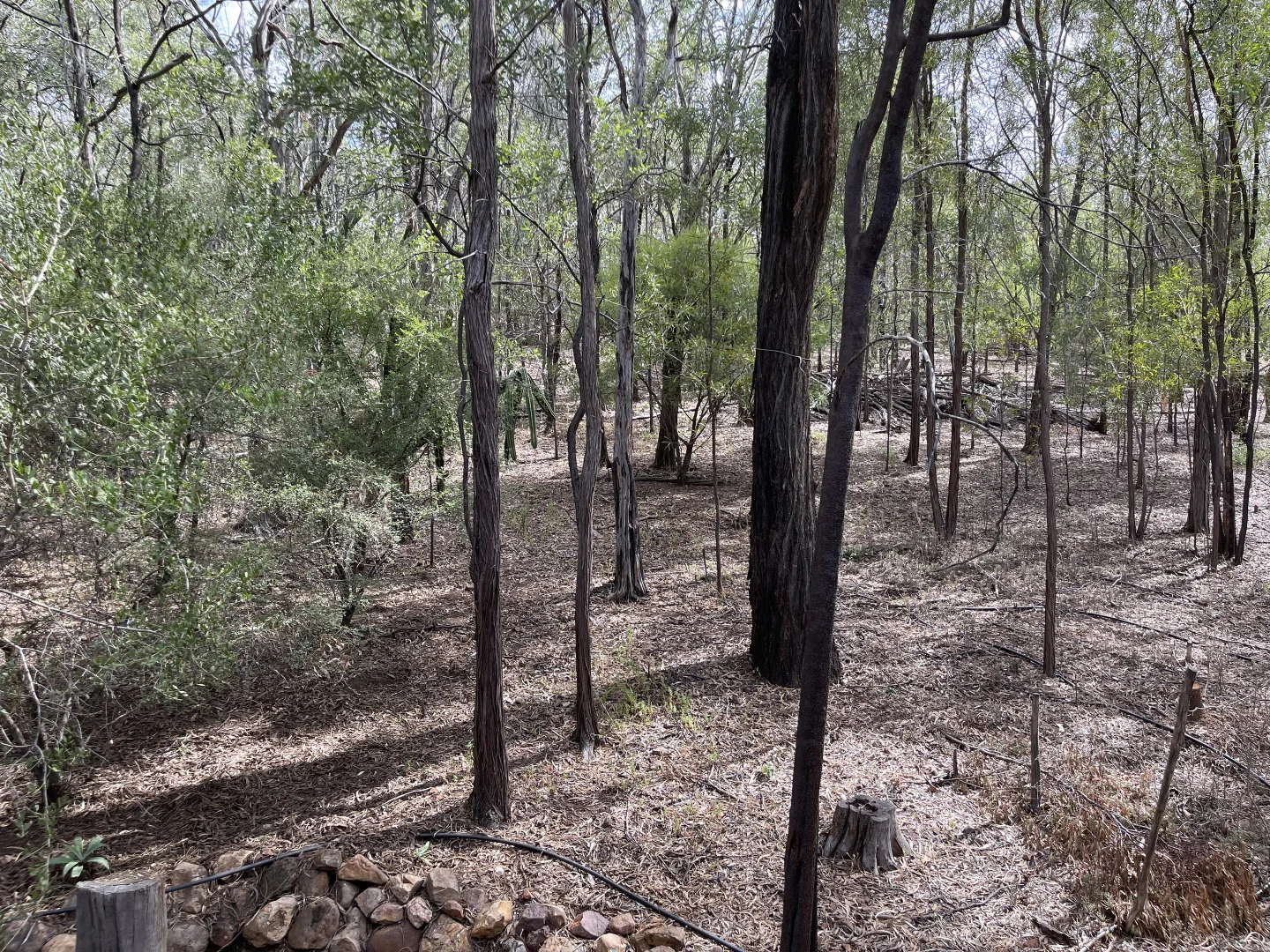 Additional image 9 of 41 Sunrise Road, Sapphire QLD 4702