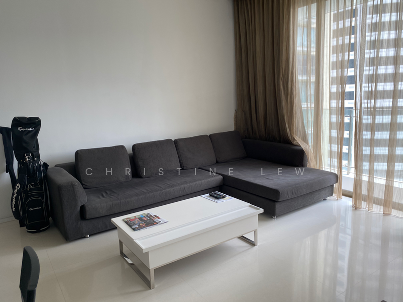 8 Scotts Road photo 4