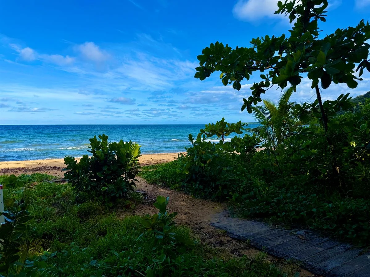 Additional image 5 of 68 Cutten Street, Bingil Bay QLD 4852