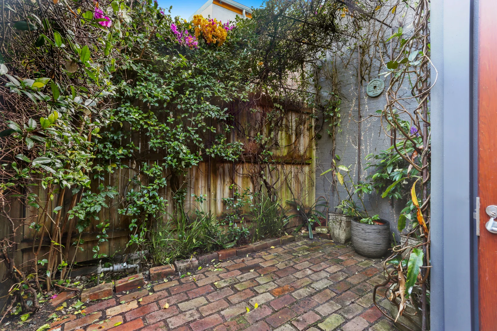 Additional image 6 of 6 Rumsay Street, Rozelle NSW 2039