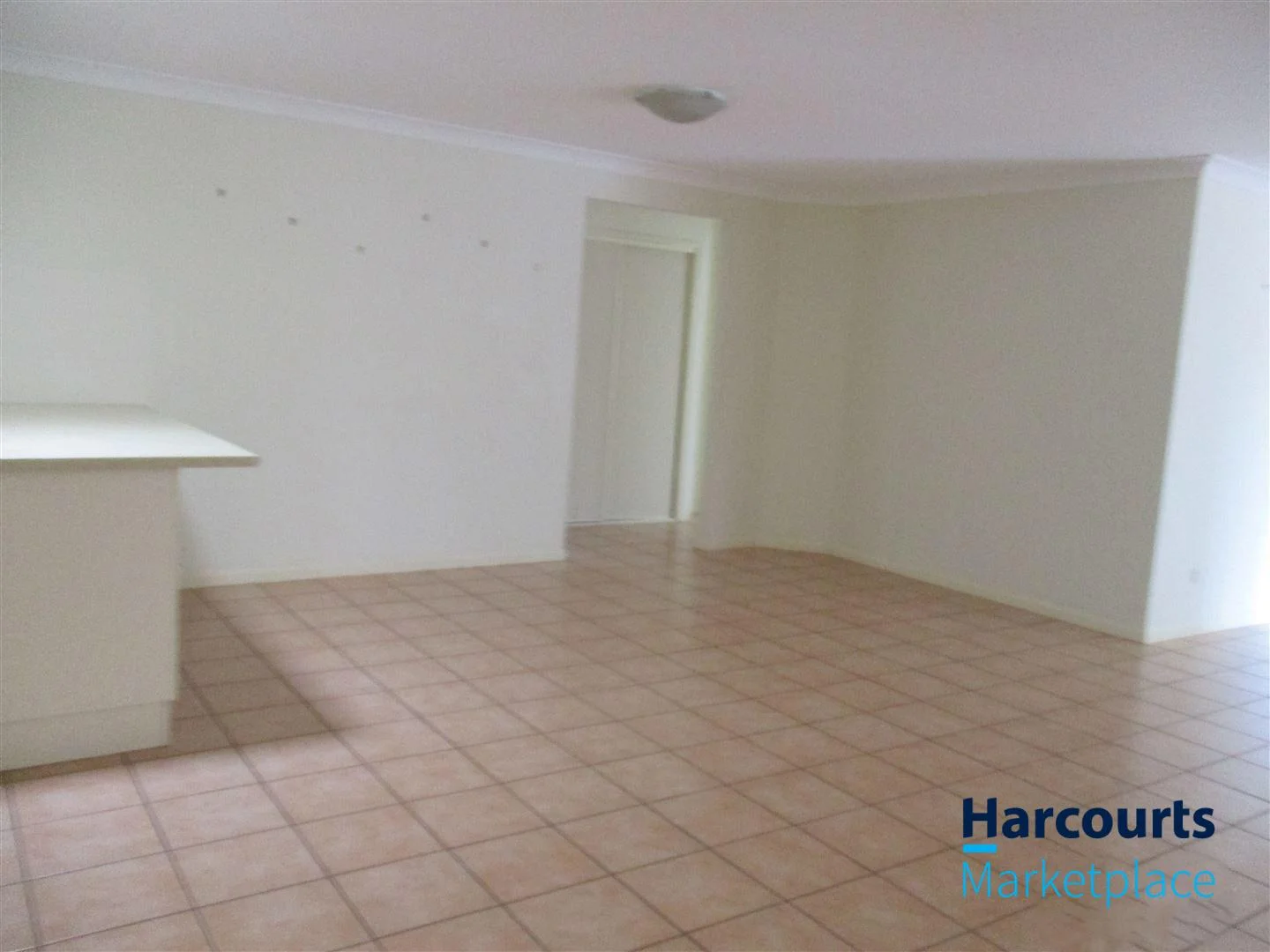 17 Emma Place, Springfield Lakes QLD 4300 photo 4