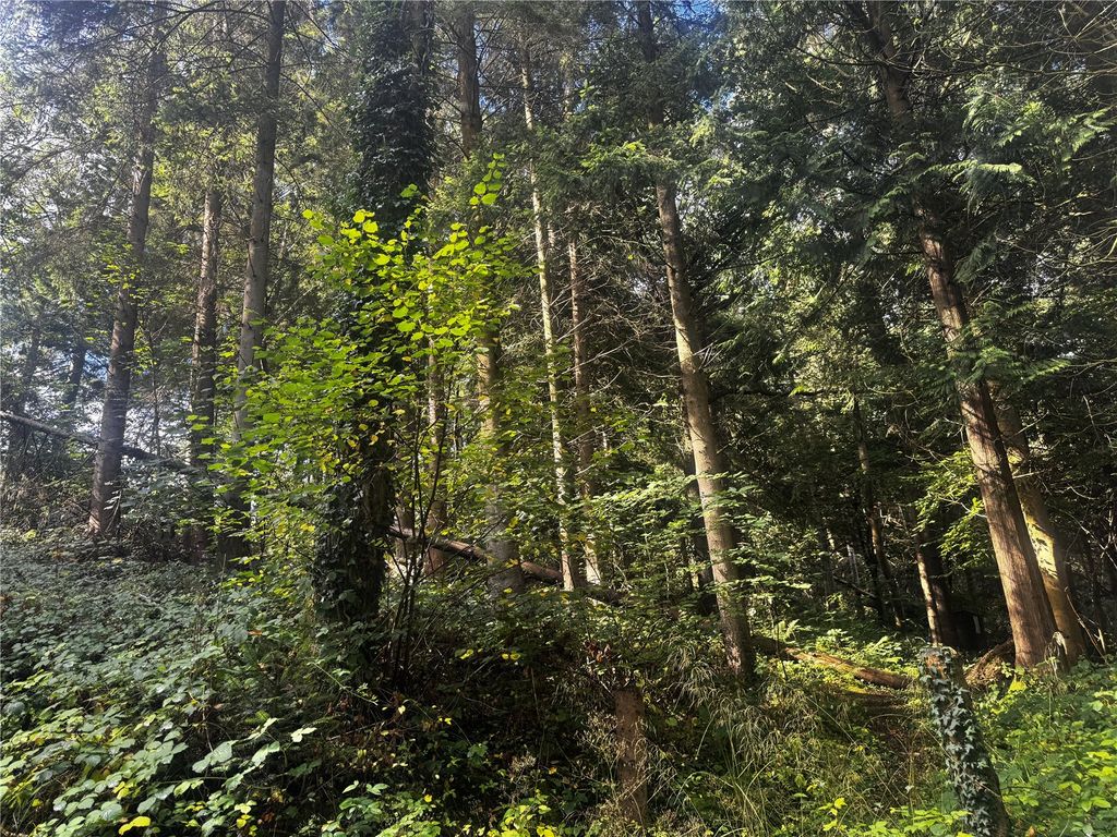 Additional image 7 of Land for saleBerriew, Welshpool, Powys SY21