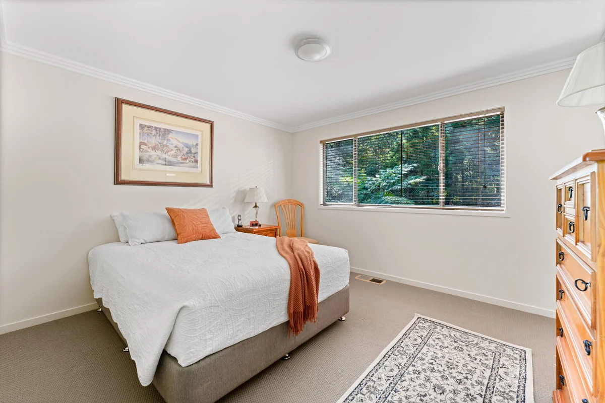Additional image 14 of 8 Banksia Road, Springbrook QLD 4213