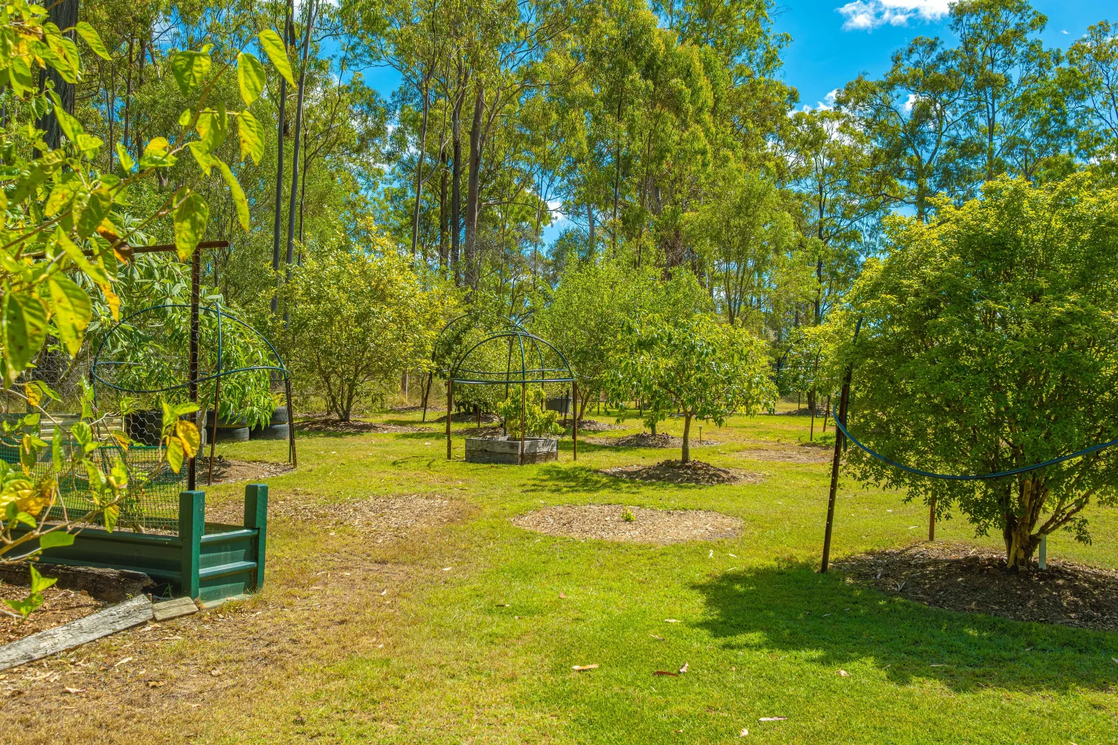 Additional image 31 of 73 Arborfourteen Road, Glenwood QLD 4570