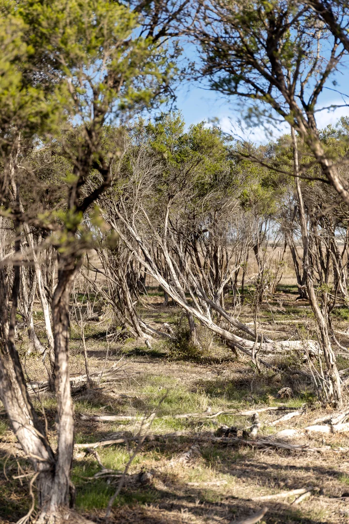 Additional image 20 of 390A Stanlakes Road, Lang Lang VIC 3984