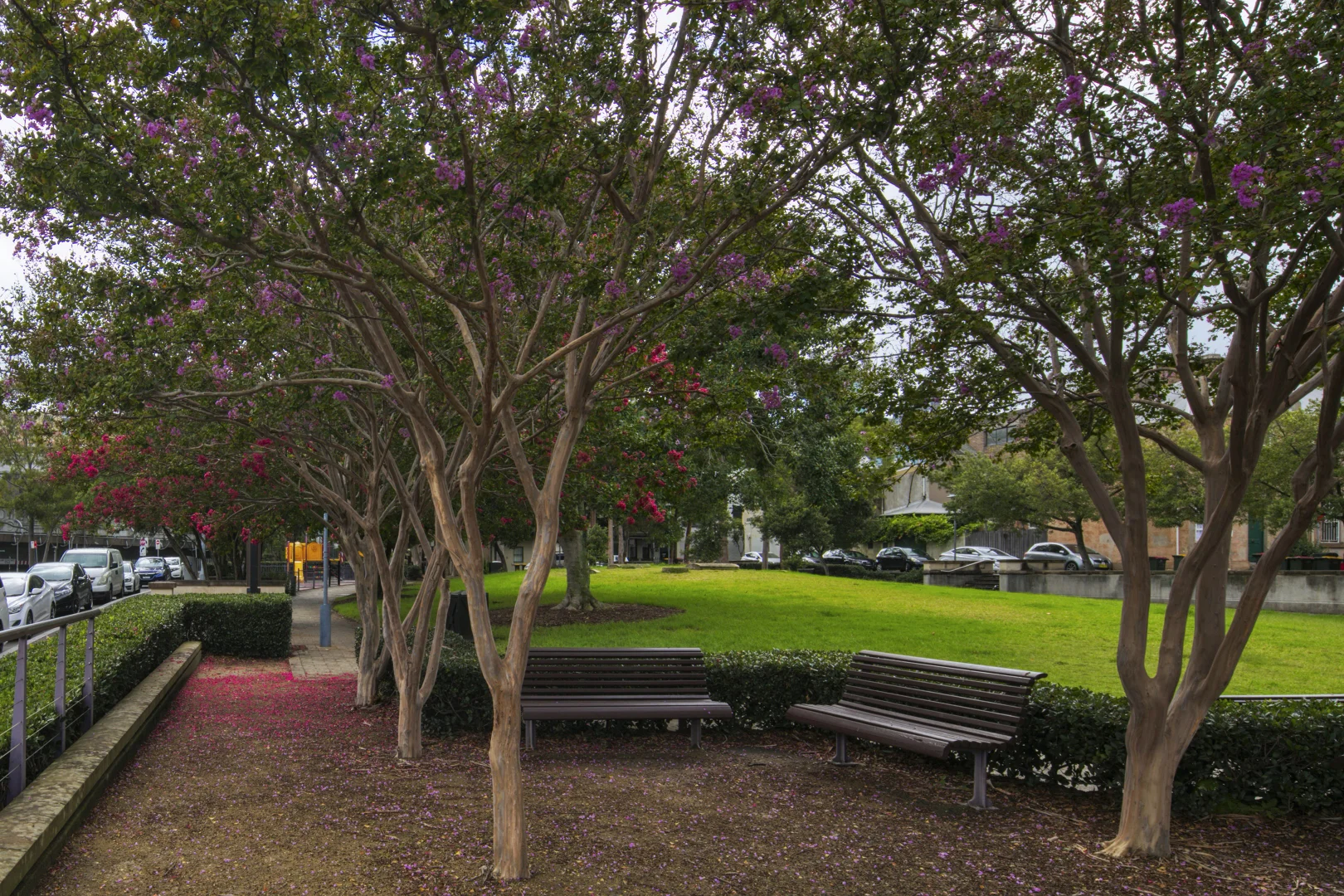 Additional image 7 of 10/80 Fig Street, Pyrmont NSW 2009