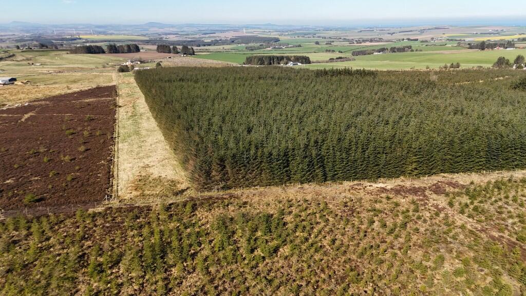 Additional image 8 of Lot 1 Woodland at Broadmuir, Hill of Fisherie, Turriff, AB53 5QL