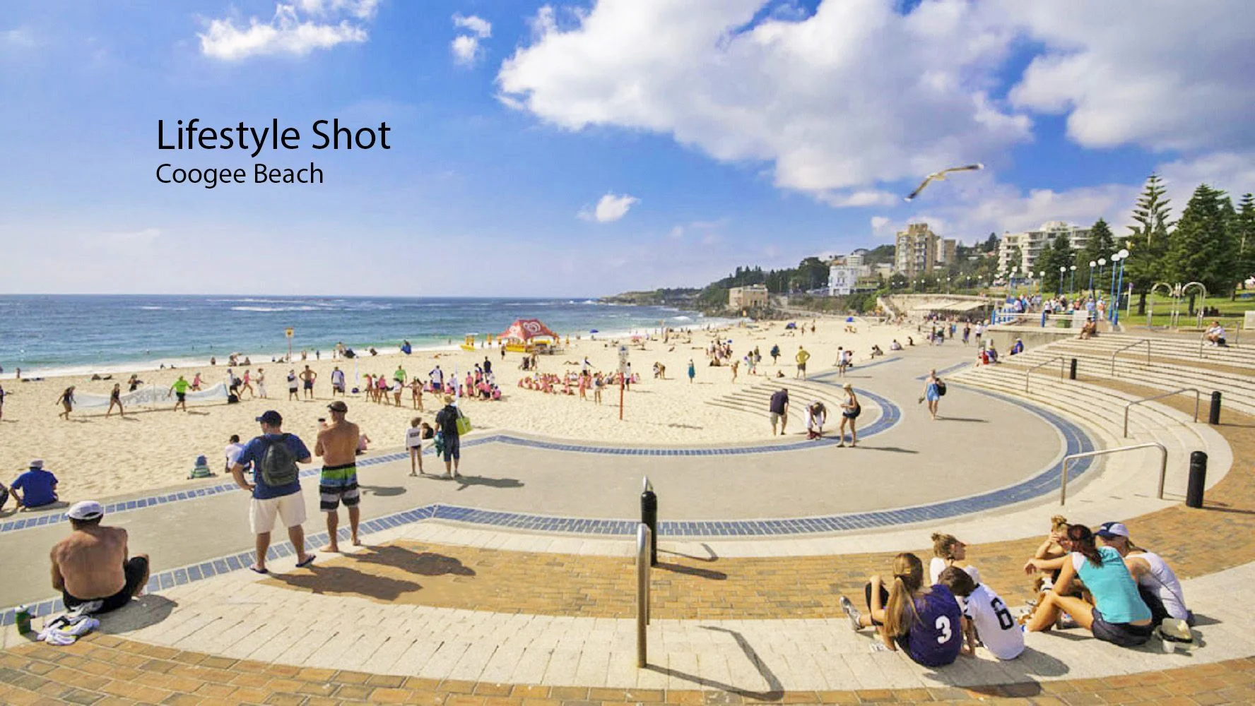 Additional image 7 of 1/21 St Lukes Street, Randwick NSW 2031