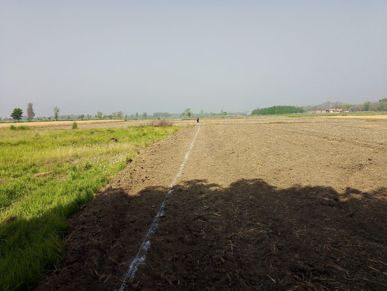 Pathri, Haridwar
