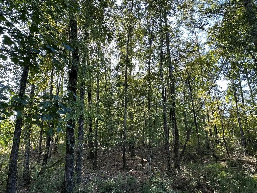 Additional image 14 of Lee Rd 334, Salem, AL 36874