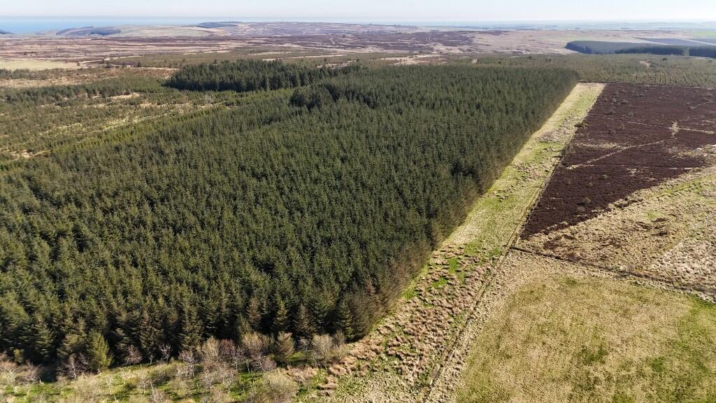 Additional image 5 of Lot 1 Woodland at Broadmuir, Hill of Fisherie, Turriff, AB53 5QL