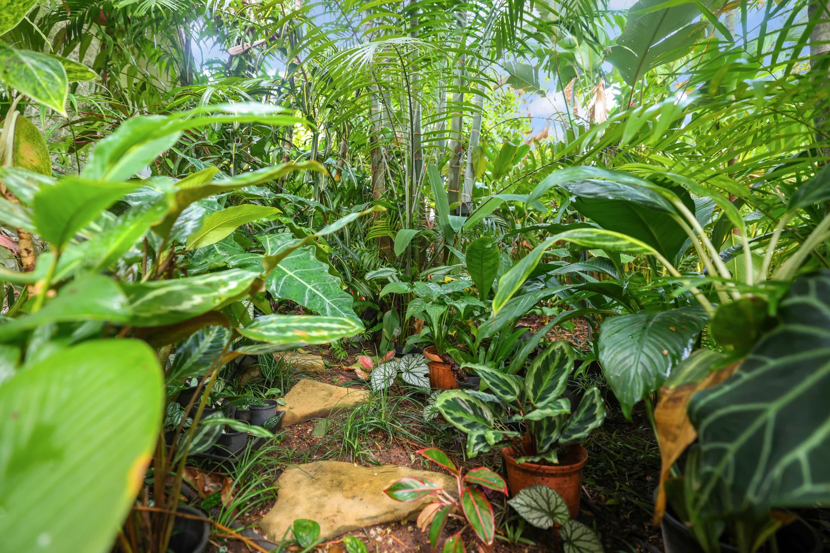 Additional image 34 of 18 Kurrajong Crescent, Nightcliff NT 0810