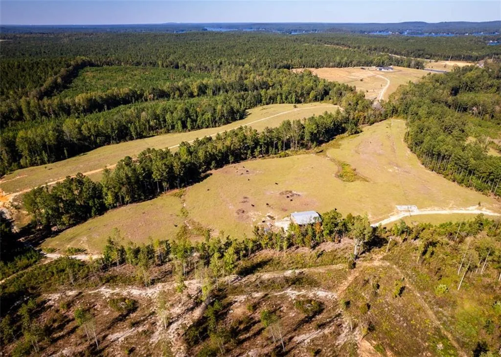 Additional image 8 of Lee Rd 334, Salem, AL 36874