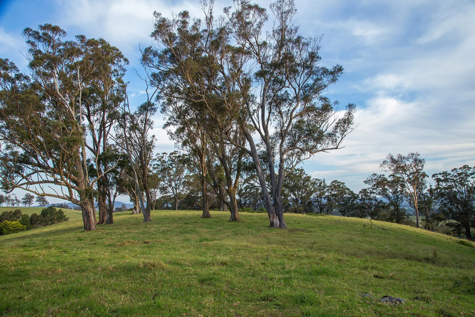 Additional image 16 of 1107 Old Hume Highway, Alpine NSW 2575