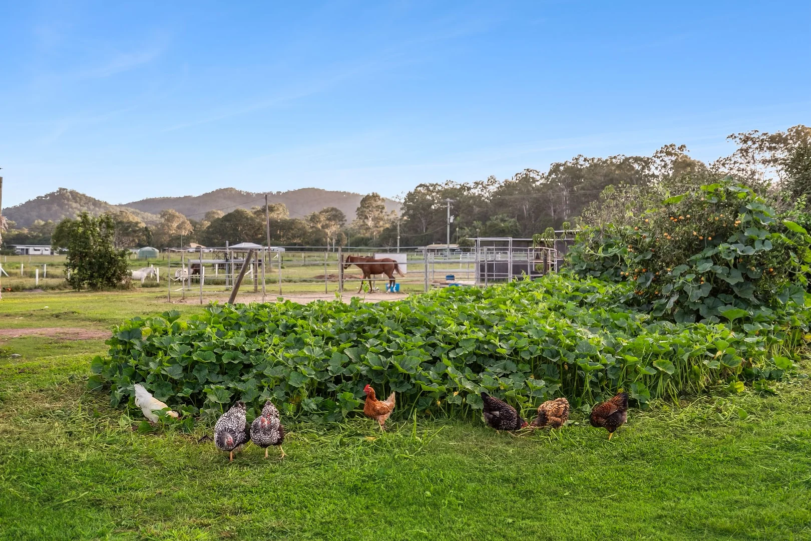 Additional image 19 of 150 Nonmus Road, Stanmore QLD 4514