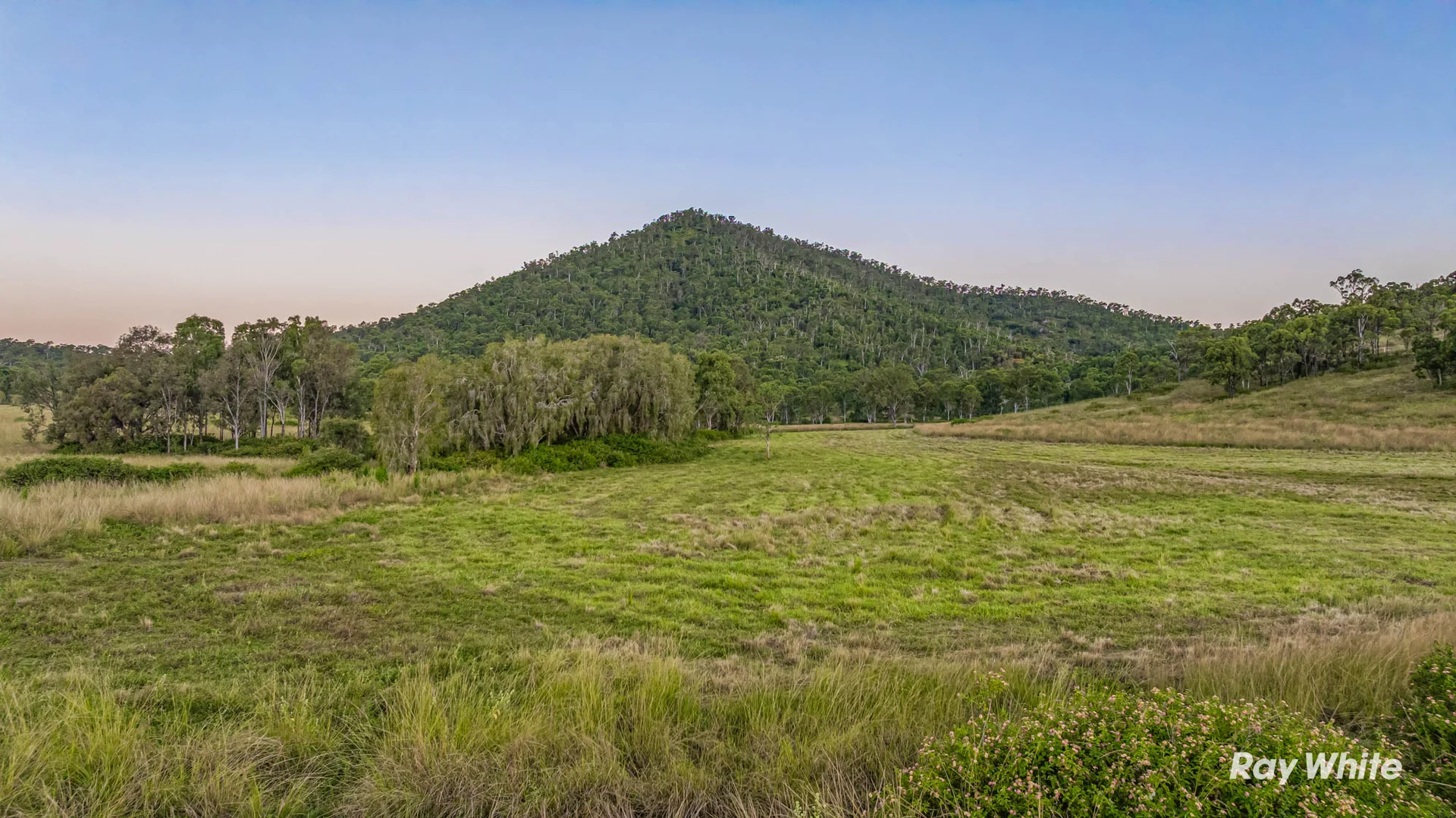 Additional image 13 of 217 Thompson Point Road, Nankin QLD 4701