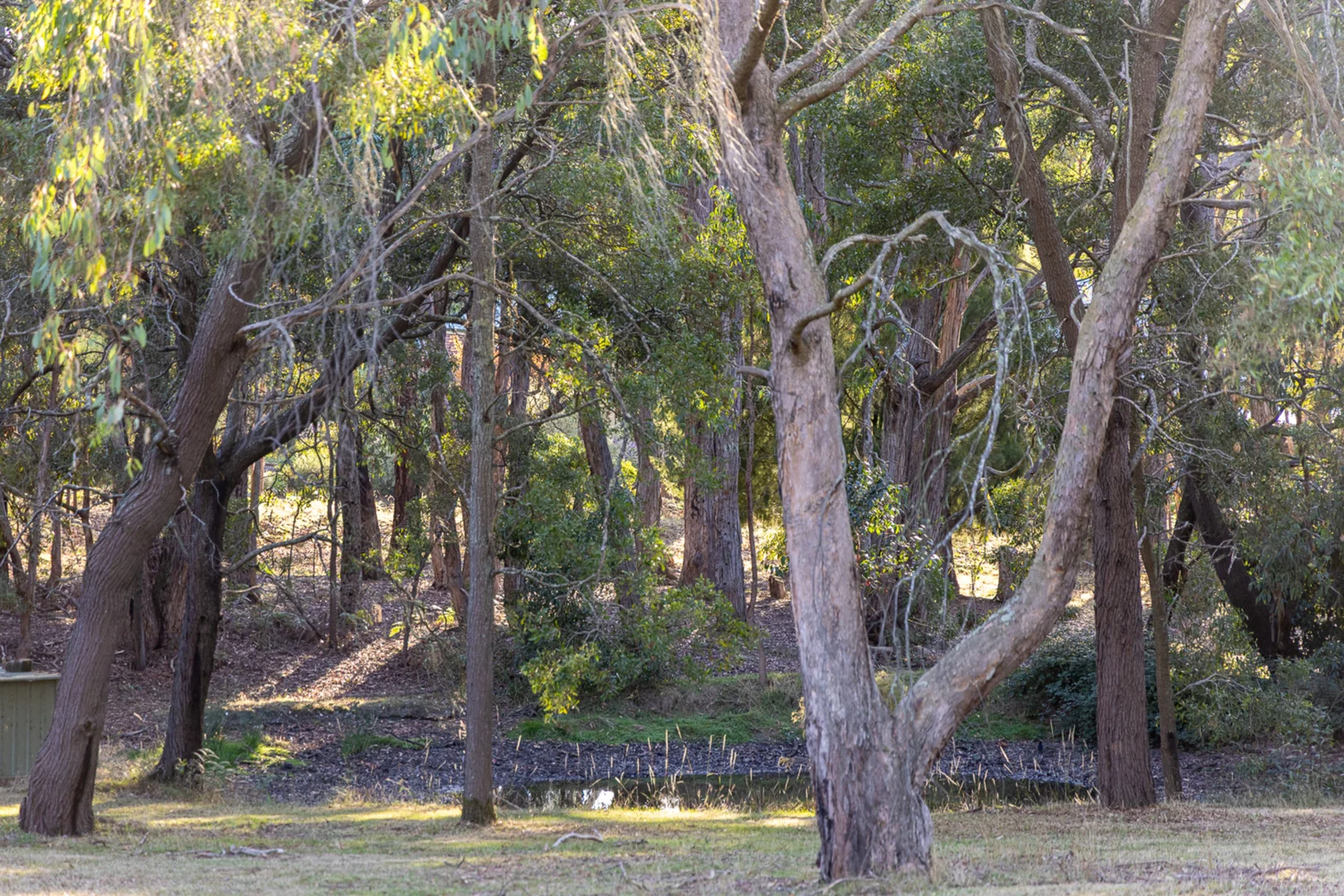 Additional image 29 of 130 Fisken Road, Mount Helen VIC 3350