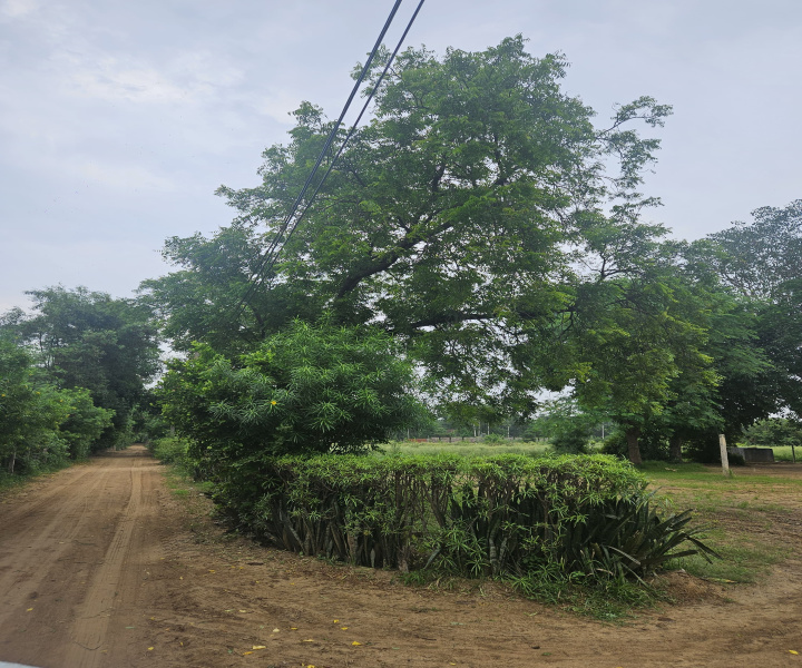 Sohna Road, Faridabad photo 3