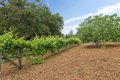 Additional image 4 of 120 Deer Meadow Ln, Portola Valley, CA, 94028