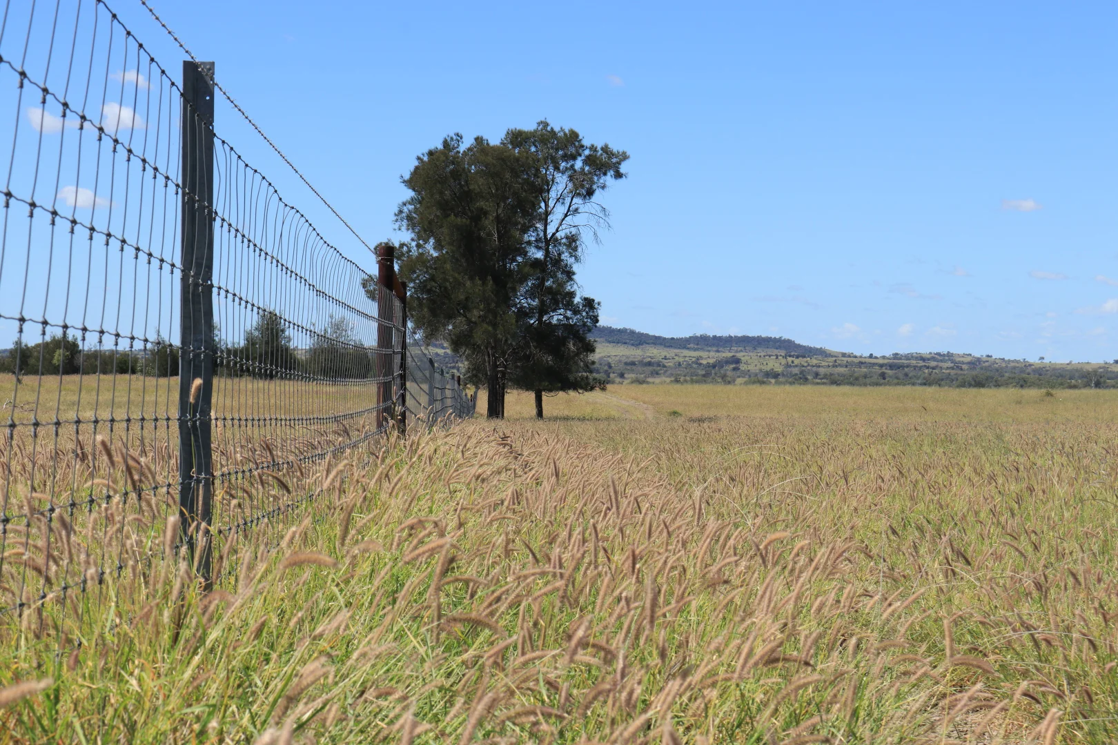 Additional image 27 of 236 Tiger Scrub Road, Roma QLD 4455