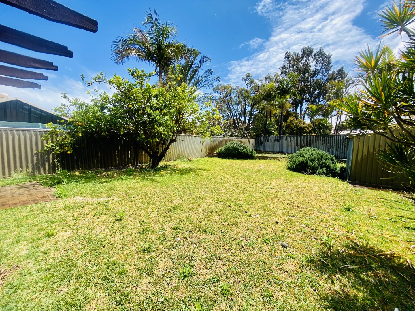 Additional image 22 of 3 Peet Court, Noranda WA 6062