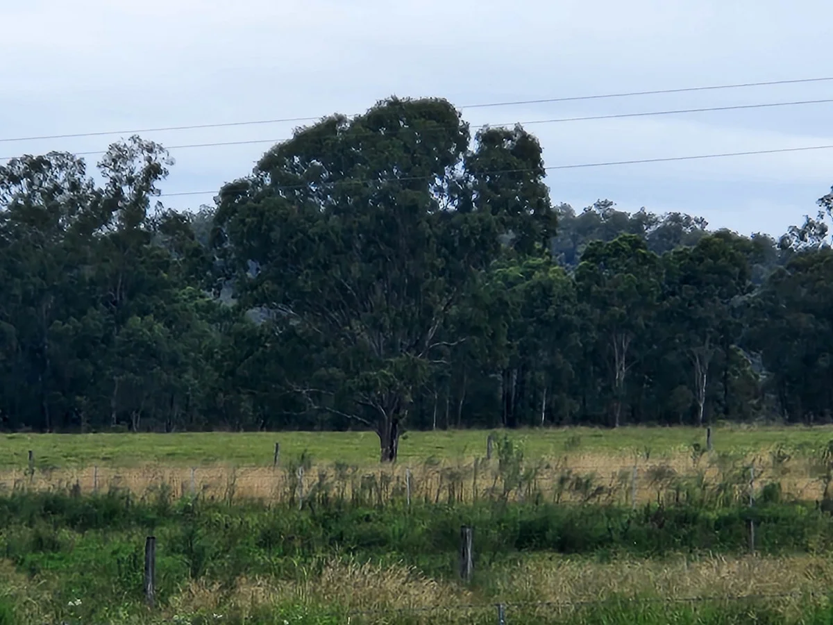 Additional image 38 of 2/49 Diggings Road, Glastonbury QLD 4570