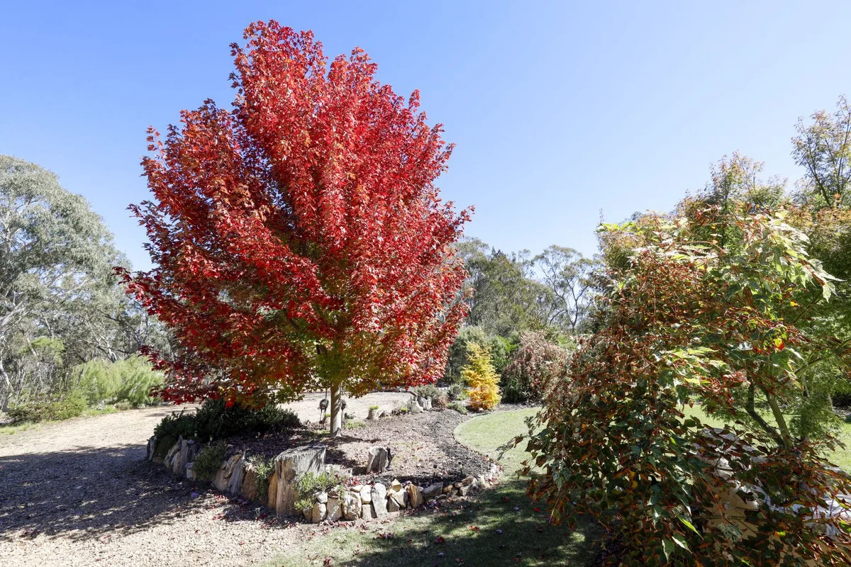 Additional image 4 of 726 Willow Glen Road, Lower Boro NSW 2580
