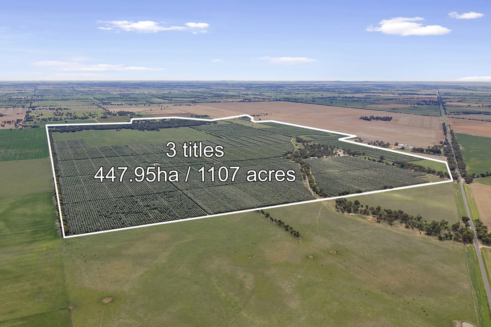 Additional image 25 of . Echuca Serpentine Road, Serpentine VIC 3517