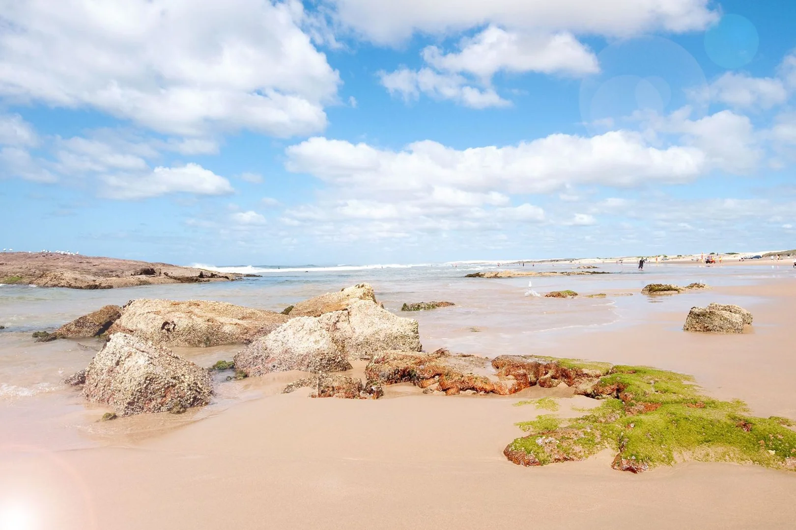 Additional image 12 of 2/42 Campbell Avenue, Anna Bay NSW 2316