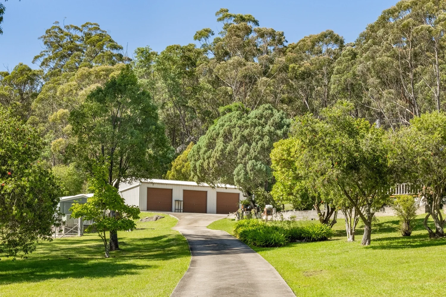 Additional image 3 of 264 Back Creek Road, Nethercote NSW 2549
