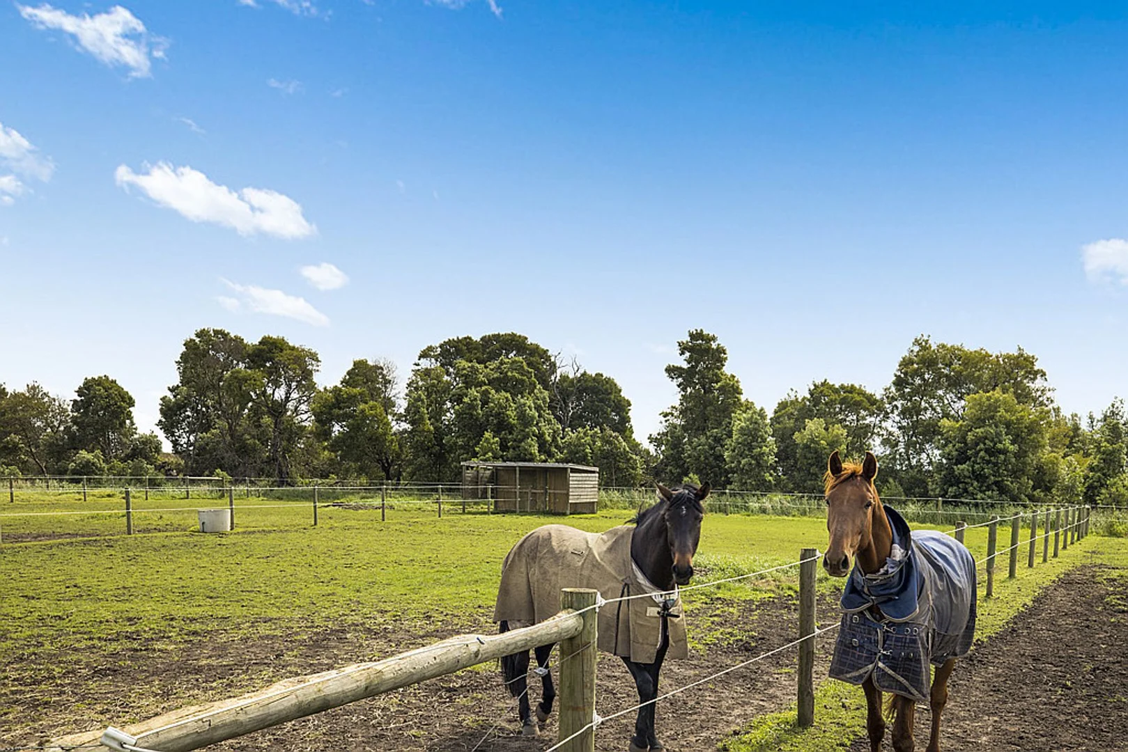 Additional image 16 of 3500 Ballarto Road, Bayles VIC 3981