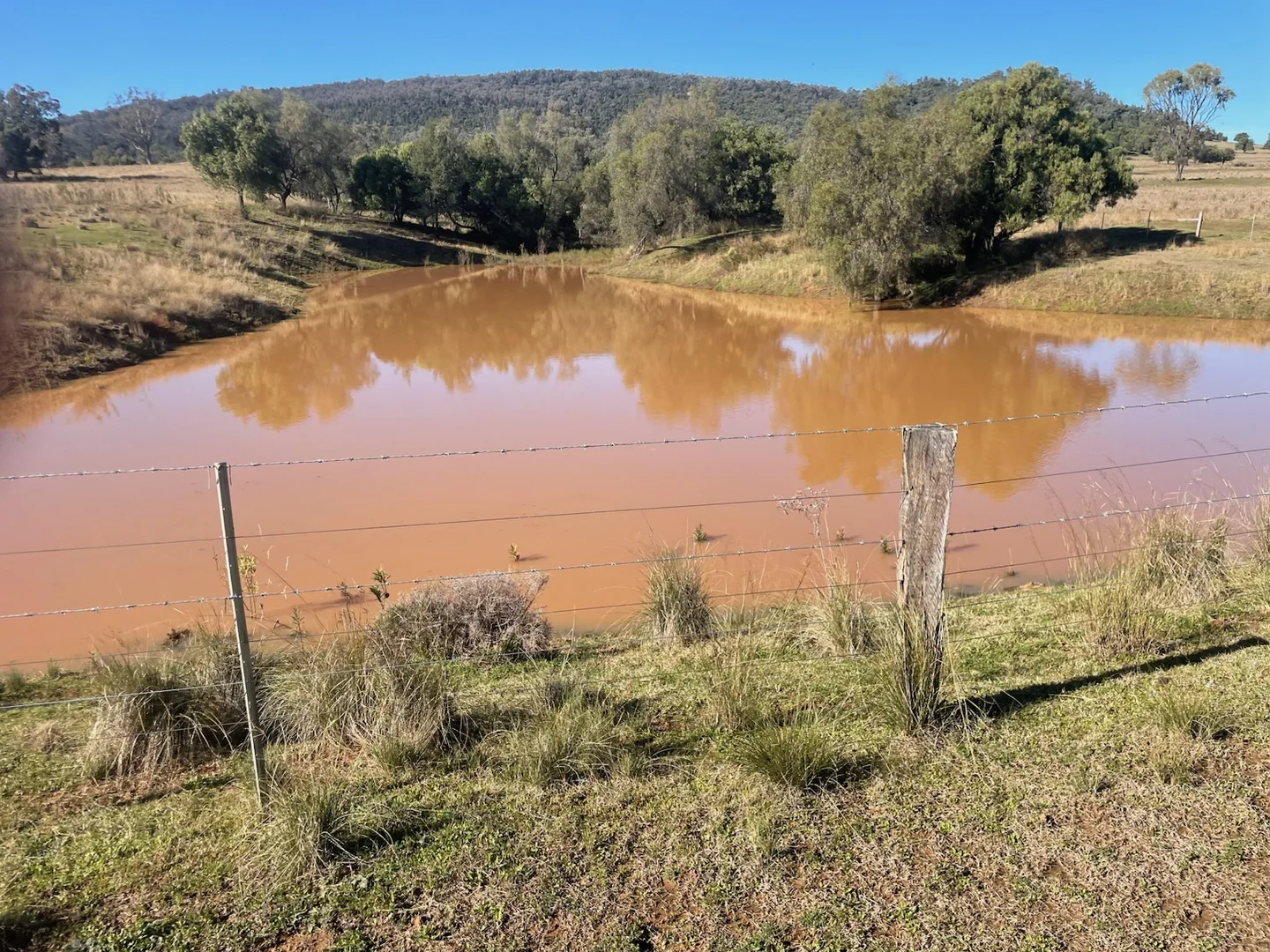 Additional image 17 of 823 Eulourie Road, Bingara NSW 2404
